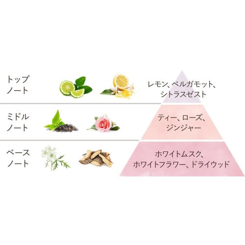 SABON Raw Shampoo Delicate Jasmine 200mL