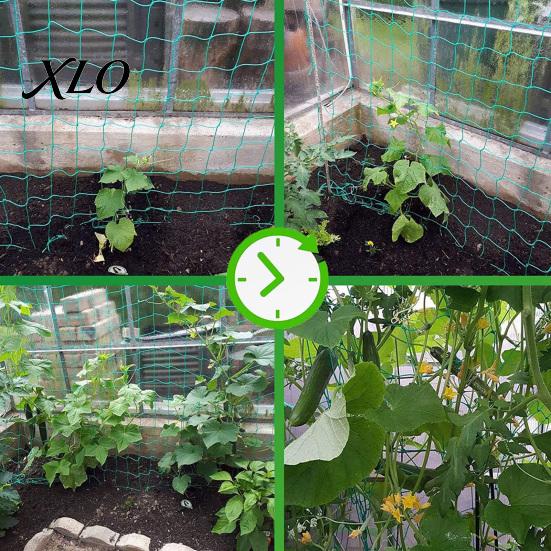 Outdoor Agricultural Climbing Support Trellis Netting for Plants, Heavy Duty Plastic Garden Square Mesh Morning Glory Netting, Plant Net Cucumbers