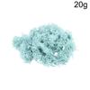 20g Artificial Preserved Moss Eternal Life Green Grass for DIY Crafts Mini Landscape Living Room Home Garden Decoration Supplies