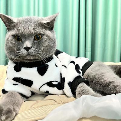 Moda Zwierzę Domowe Kot Ubrania Zimowe Ciepła Bluza Miękka Przytulna Słodki Kostium Kociaka Bluza z Kapturem Kitty Płaszcze dla Szczeniąt Kurtka dla Psa Ropa Para Gatos