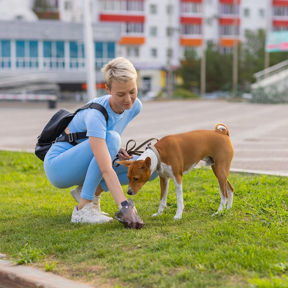 Hygienic Pads Absorbent Mats For Dogs Disposable 60X40Cm 100 Pcs + Bags