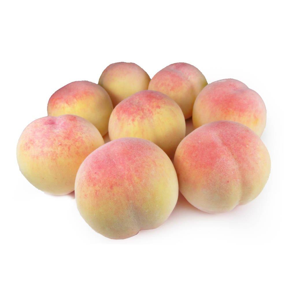 

GuCra Peach Lifelike Set of Food Fruit Models Models, 8, Samples, (UP)