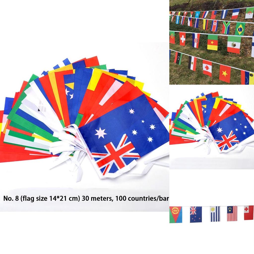 Multi-cultural Party Hanging Decor 50-100pcs Flags Of Different Assorted Countries