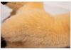 Adorable Realistic Alpaca Plush Sheep Zodiac Doll