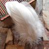 20pcs Natural Goose Feathers 31 Color Loose Goose Feathers 12-20cm Long Christmas Decoration Clothing Shoes Hat Accessories