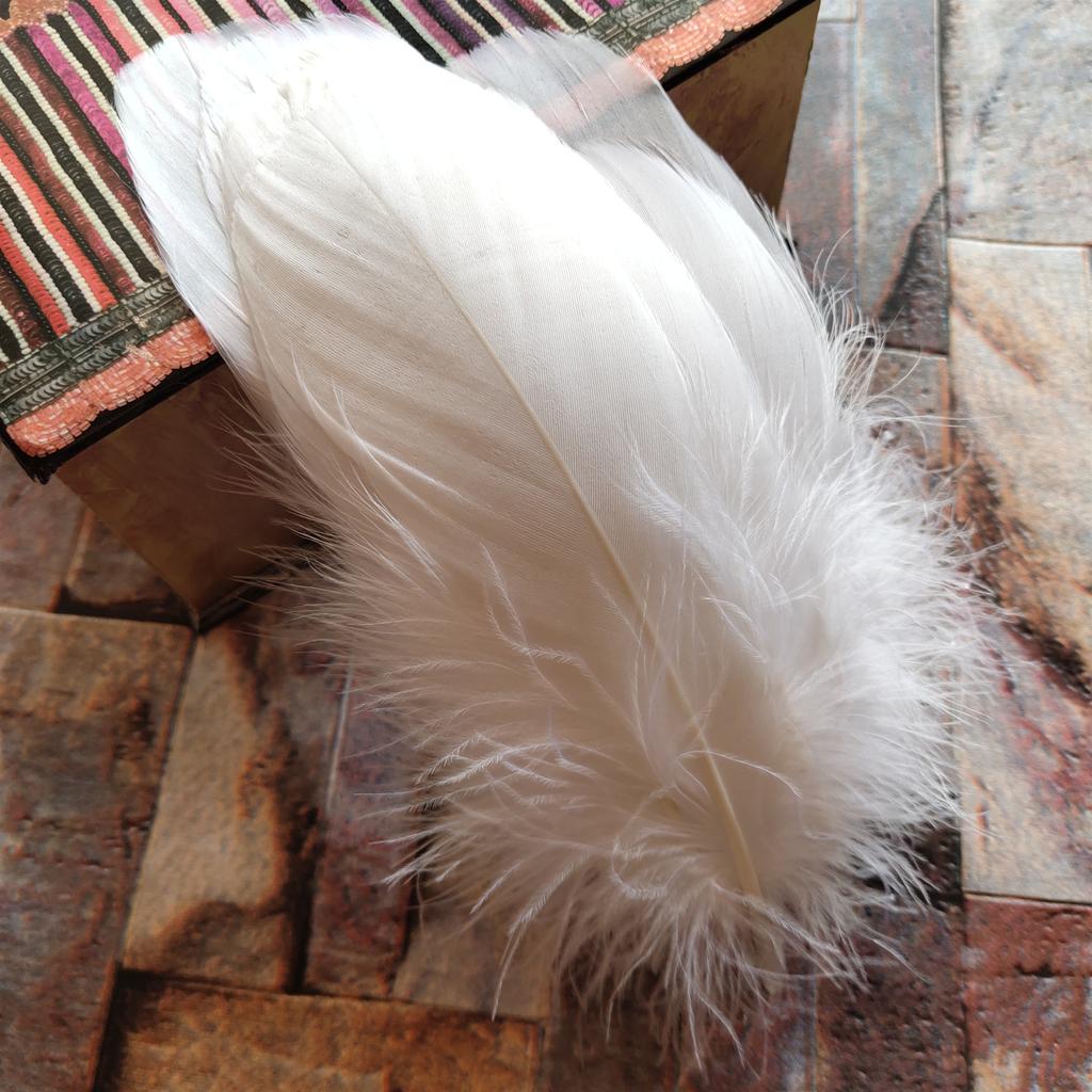 20pcs Natural Goose Feathers 31 Color Loose Goose Feathers 12-20cm Long Christmas Decoration Clothing Shoes Hat Accessories