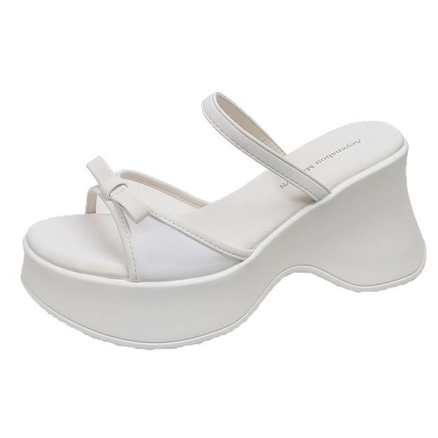 Slippers Versatile Gentle Temperament Fashionable Thick-soled Beach with Cool Slippers Women's Summer 2025 New Skirt Sandals