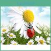 Diamond Embroidery Flower Painting Diamond Daisydiamond Mosaic Full Display Rhinestone Picture