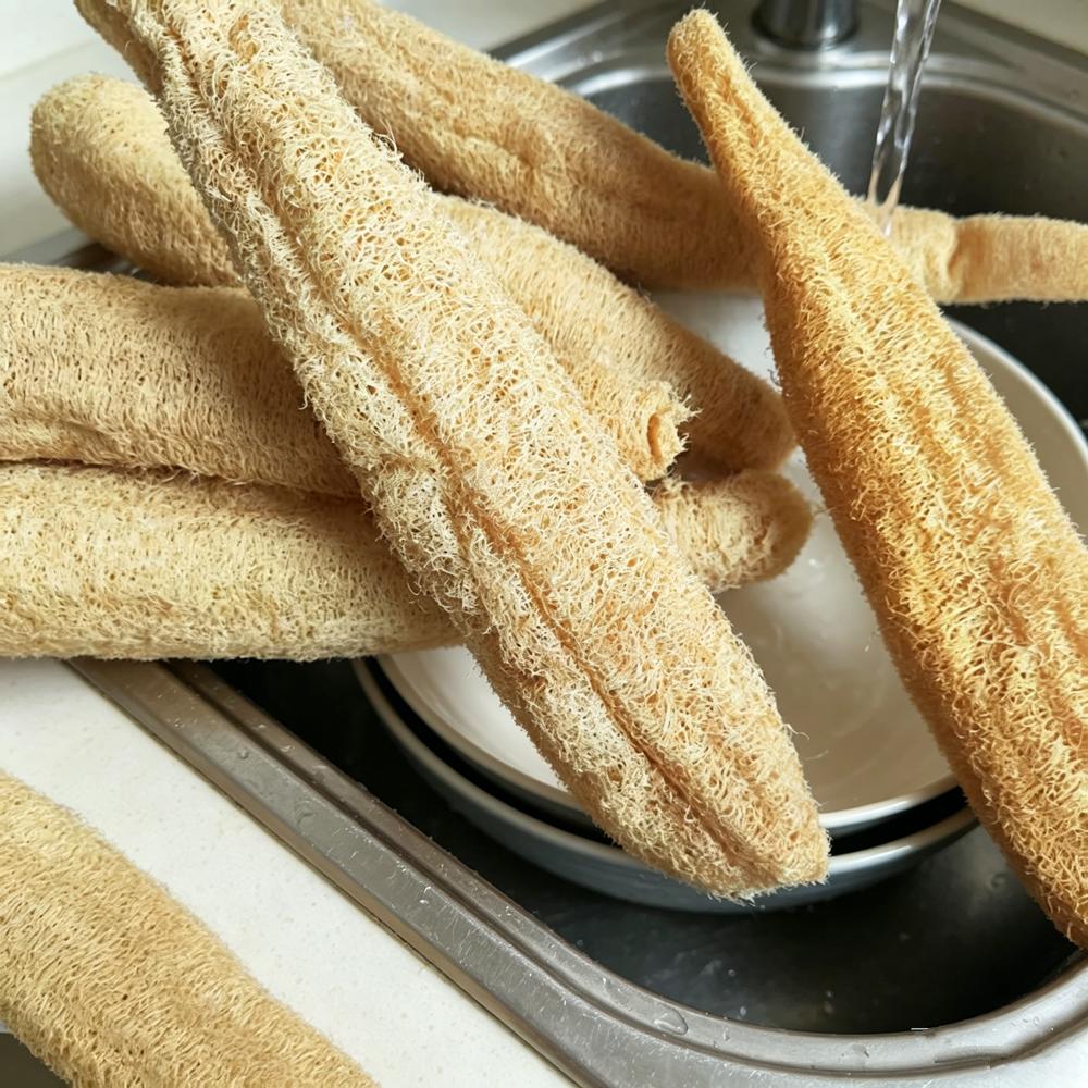 Spugna Luffa Naturale ed Ecologica Scrubber Per Cucina Spugna da Bagno Scrubber Spa Bagno