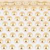 304 Stainless Steel Spacer Beads, Bicone, with Beads Container, Golden, 5.5x3mm, Hole: 1.8mm, About 100pcs/box