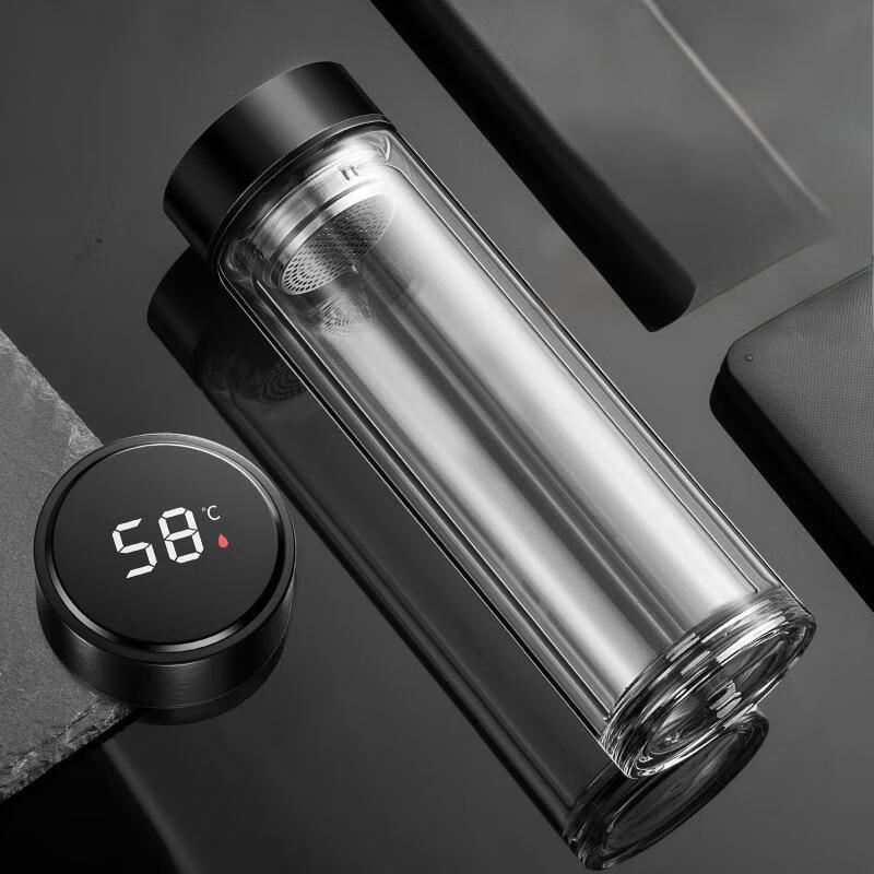 SX Tea Infuser Double-Wall Glass Cup