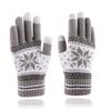 Autumn and Winter Touch Screen Gloves Men's and Women's Fashion Snowflake Finger Split Fleece Thickened Knitted Warm Gloves