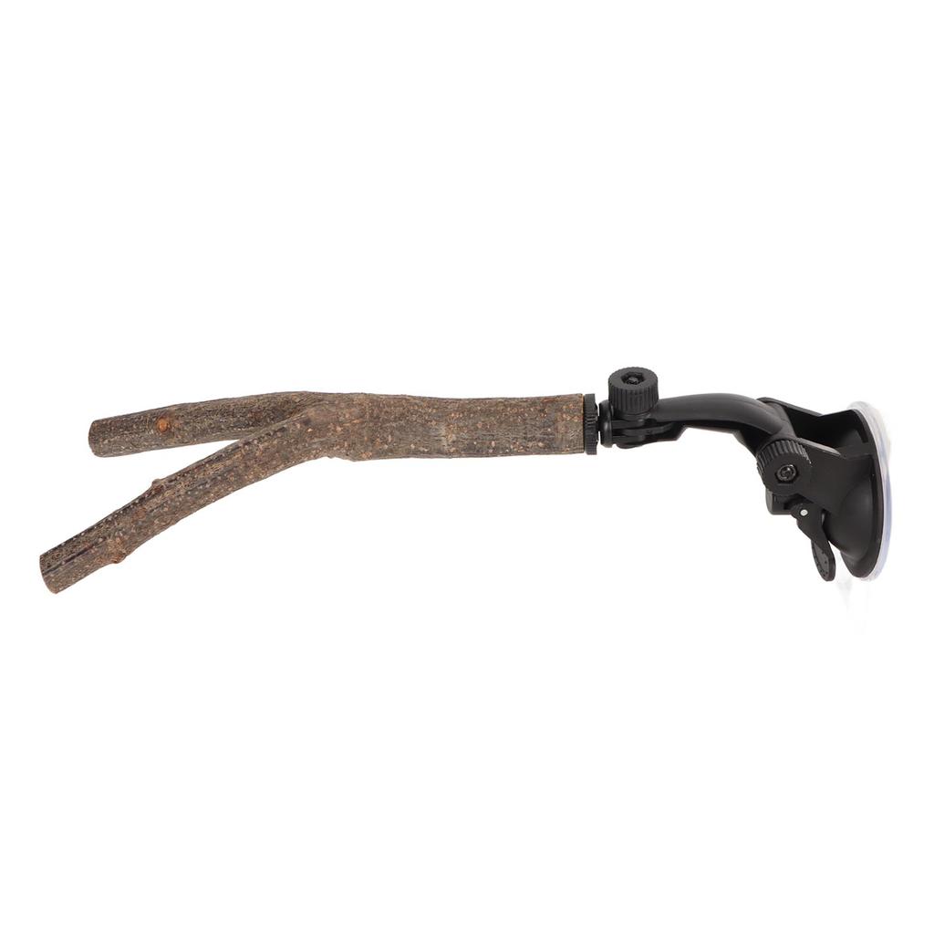 Bird Branch Perch Stand Training Interactive Prevent Slip Wooden   Perch with Suction Cups for Small Medium Bird