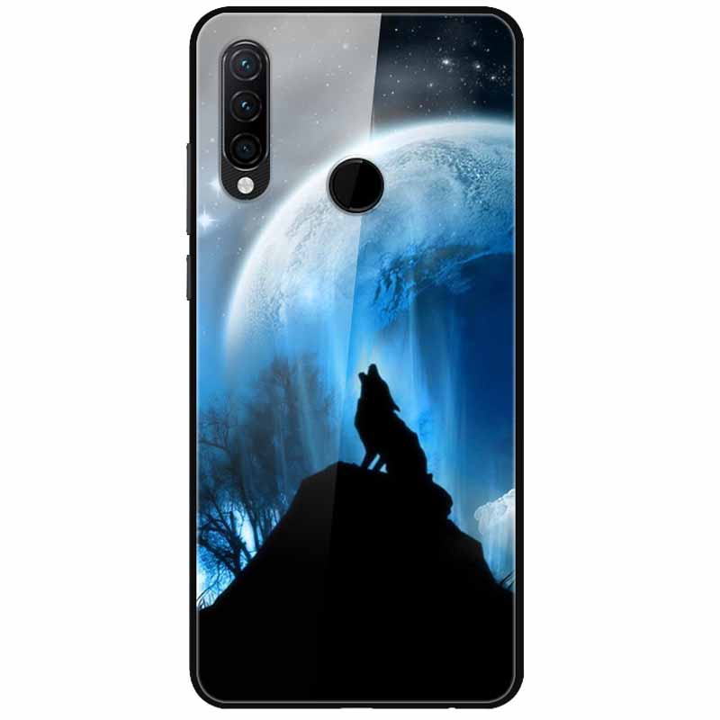 For Huawei P30 Pro Lite Case Cool Tempered Glass Luxury Coque Covers for Huawei P20 Lite P 20 P20Pro P30Pro P 30 Hard Back