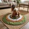 Cães – Produtos para treino de animais