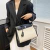 Fashion small square bag new pu tote bag retro women's bag trendy texture shoulder bag