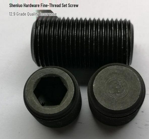 Grade 12.9 M24x2 20-100mm 45H Hex Socket Set Screw Grub - Fine Thread, GB77 Standard 20mm (1 pc)