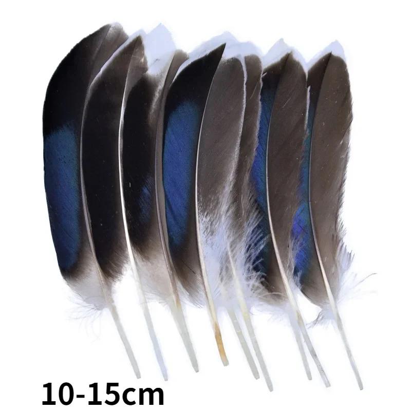 Natural Pheasant Feathers Peacock Feather Eagle Small Plume Handicraft Accessories Jewelry Creation Holiday Decoration