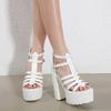 Fashion 14cm Women's Solid Color Chunky Heel Sandals Stylish Buckle Strap Platform Sandals Breathable Back Zipper Roman Shoes
