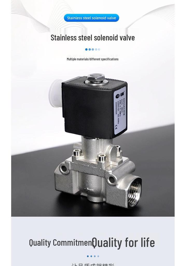 High-Pressure 304 Stainless Steel Pilot Piston Solenoid Valve, 50bar