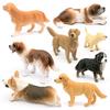 8 Simulated Dog Models Golden Retriever Bona Mountain Dog St. Bernard Short Legged Corgi Static Ornament Toys
