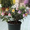 Beautifully Crafted Flower 9Pieces Quality Resin Orchids Garden Stakes Decorations for Indoor Outdoor Decoration