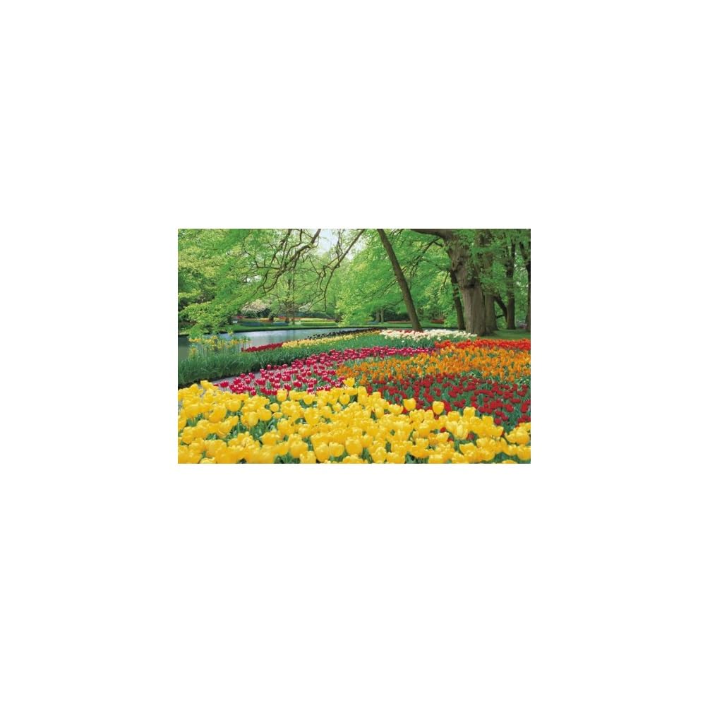 

1500 Small Piece Puzzle Master Tulip Garden Keukenhof (50x75cm)