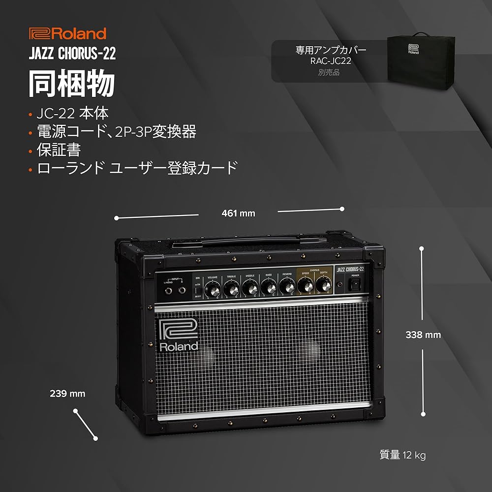 Roland/JC-22 Roland Guitar Amp Jazz Chorus 30W