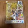 Dragon Ball Figuarts S.H.Figuarts Legendary Super Saiyan Son Goku