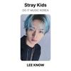Stray Kids FOTOCARTA UFFICIALE DO IT MUSIC KOREA
