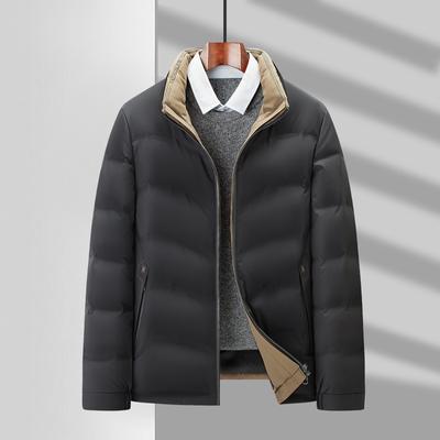 Autumn and Winter Duck Down Warm Stand-up Collar Zipper Version Business Casual Down Youth Jacket