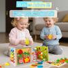 Montessori Wooden Educational Cube for Kids, Fishing Activity Toy with Shape Sorting, Multicolor Early Learning Toy