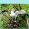 Wildlife Albatross Sparrow Bird Static Model For Kids Educational Play