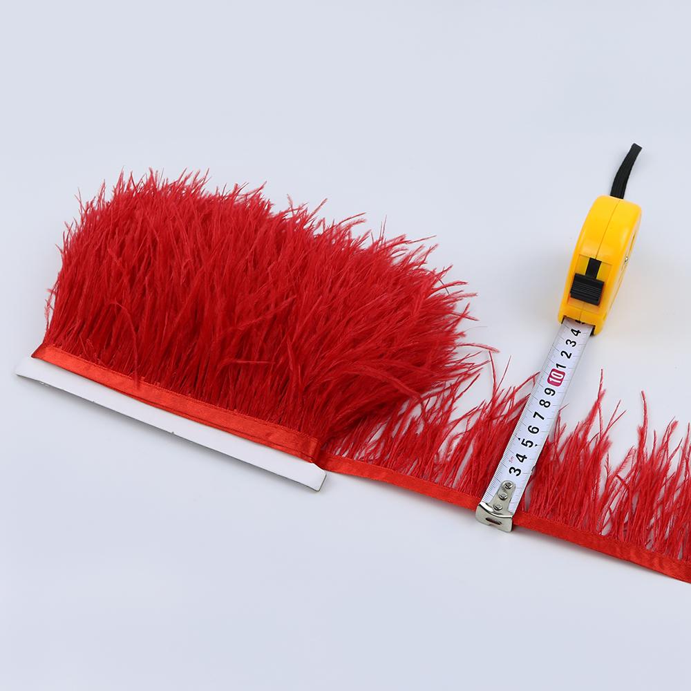 Feather1Meter 8-10cm Ostrich Feather Trim Fringe Ribbon Lake Blue for Dress Clothes Sleeve Decoration Sewing Plumes Fabric Fashion