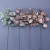 Simulation Green Plant Long Branches with Fruit Eucalyptus Eugene Money Leaf