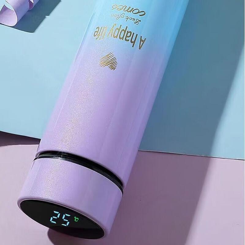 Smart Temperature Display Gradient Insulated Bottle