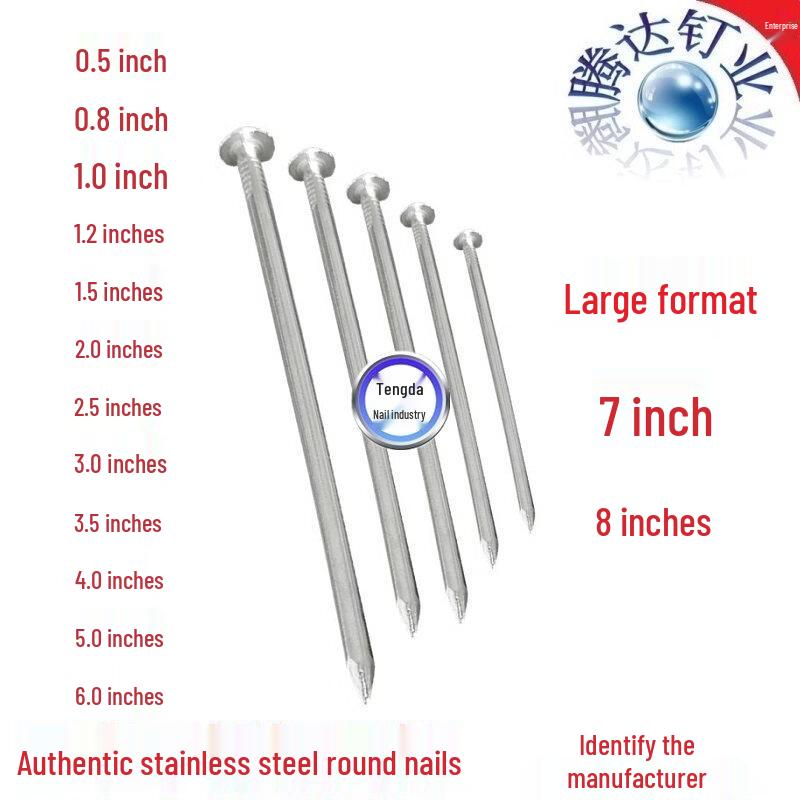 Jiemengzhe 304 Stainless Steel Common Nails