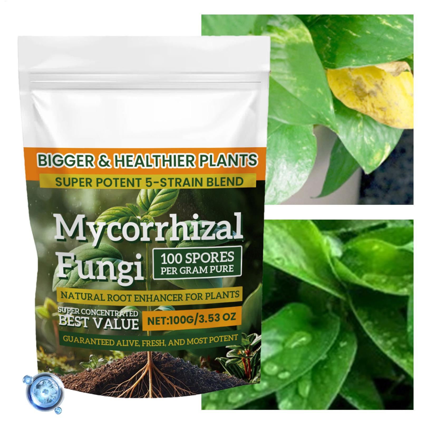 

100g Plant Growth Promoter Plant Growth Fertilizer Nutrient Rich Nutrients Fast Rooting Powder For Mixed Culture Hydroponics 100g