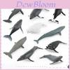 Animaux Marins Béluga et Baleine Ensemble de Modèles Répliques Jouet en PVC pour Décoration d'Aquarium