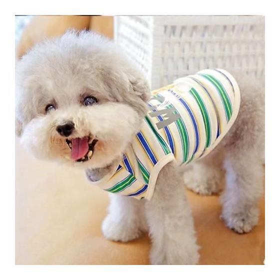 AmzBarley Dog Clothes Shirt, Spring, Striped Bear Print, Made of Cotton, Sleeveless, Dog Clothes, Small Dogs, Spring/Summer Tank Top, Cute, Popular,