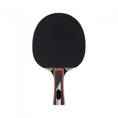 Lion Taifun Tischtennisschläger