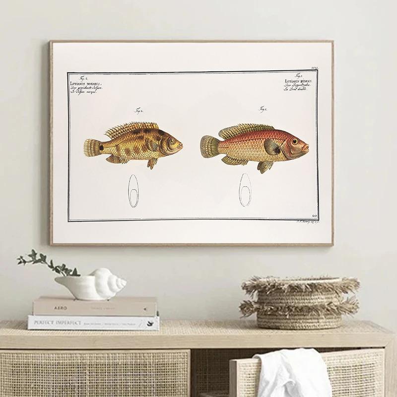 Vintage Freshwater Saltwater Fish Illustration Posters and Prints Canvas Printing Wall Art Picture for Living Room Home Decor
