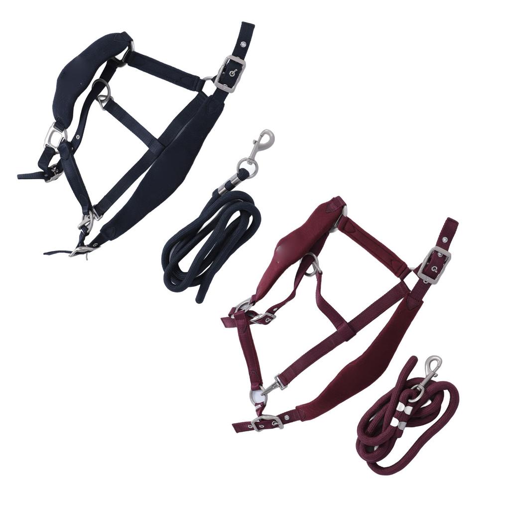 Horse Halter Set Prevent Rubbing Adjustable Horse Training Halter with 2m Horse Leash for Training D