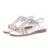2025 Summer Women's Casual Flat Heel Sandals – New Ladies' Cross-Border Style