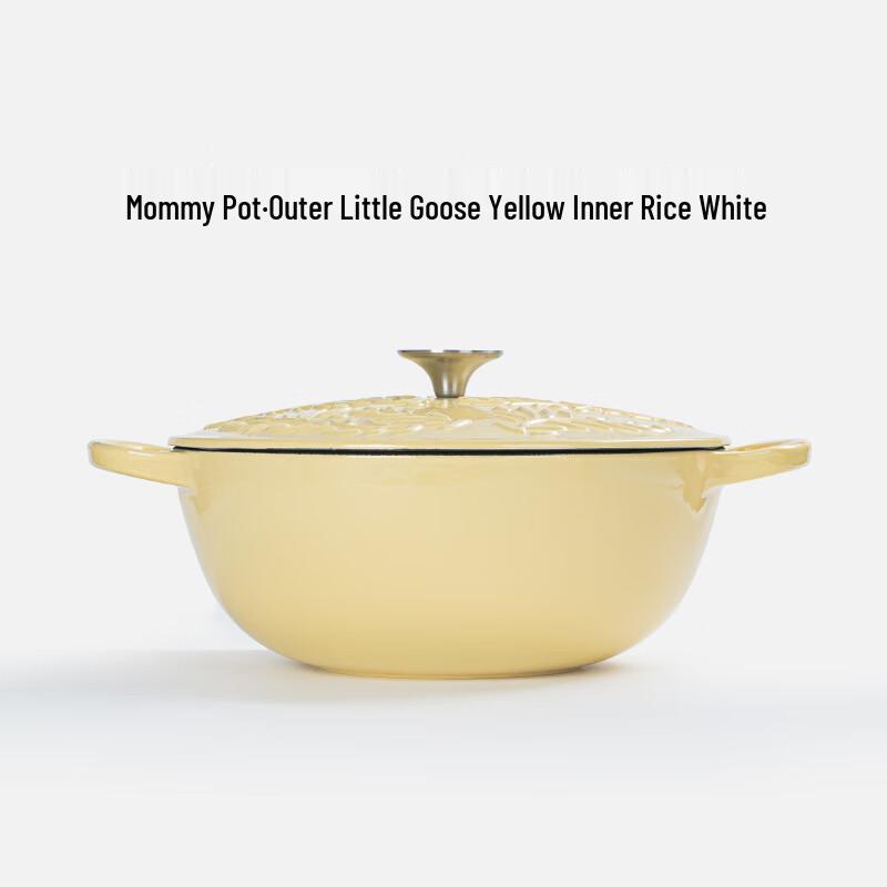 Wutuo 26cm Enamel Cast Iron Mommy Pot