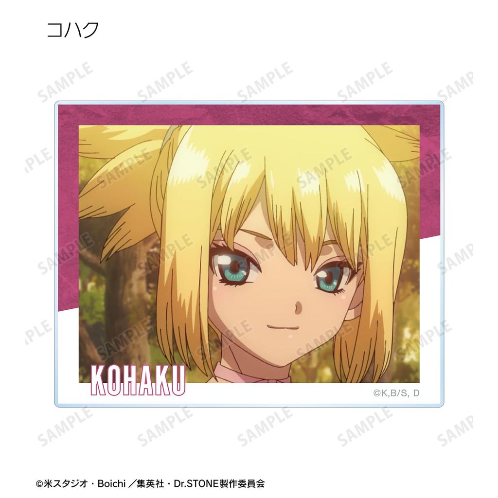 TV-Anime Sammelszene Acrylkarten Box "Dr. STONE" vol.2 11-teilig