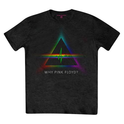 Pink Floyd Unisex Adult Why Back Print T-Shirt