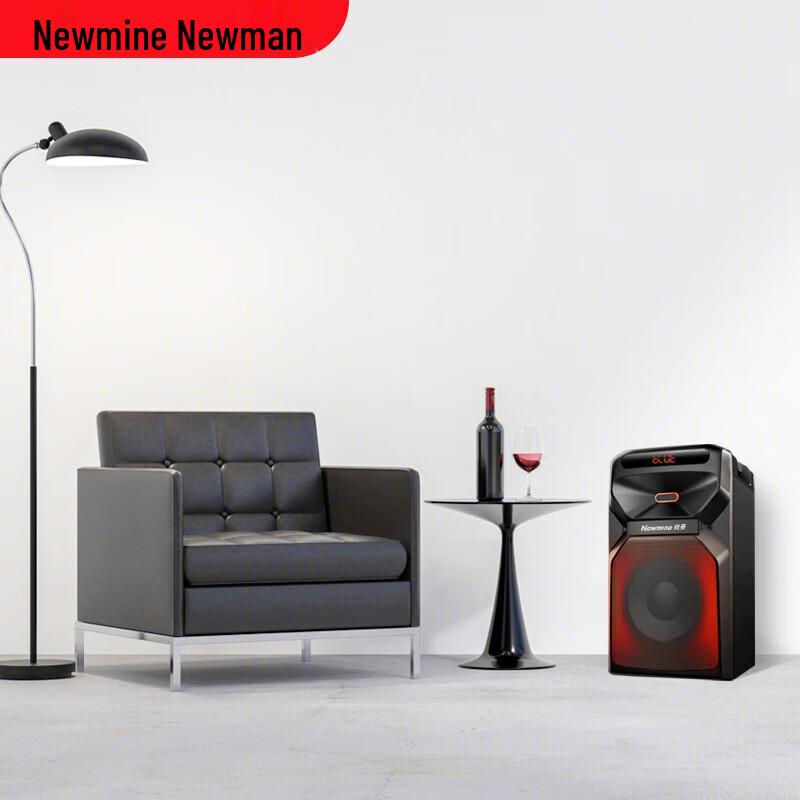 Newman A2 Portable Bluetooth Karaoke Speaker CN Plug (adapter Included)