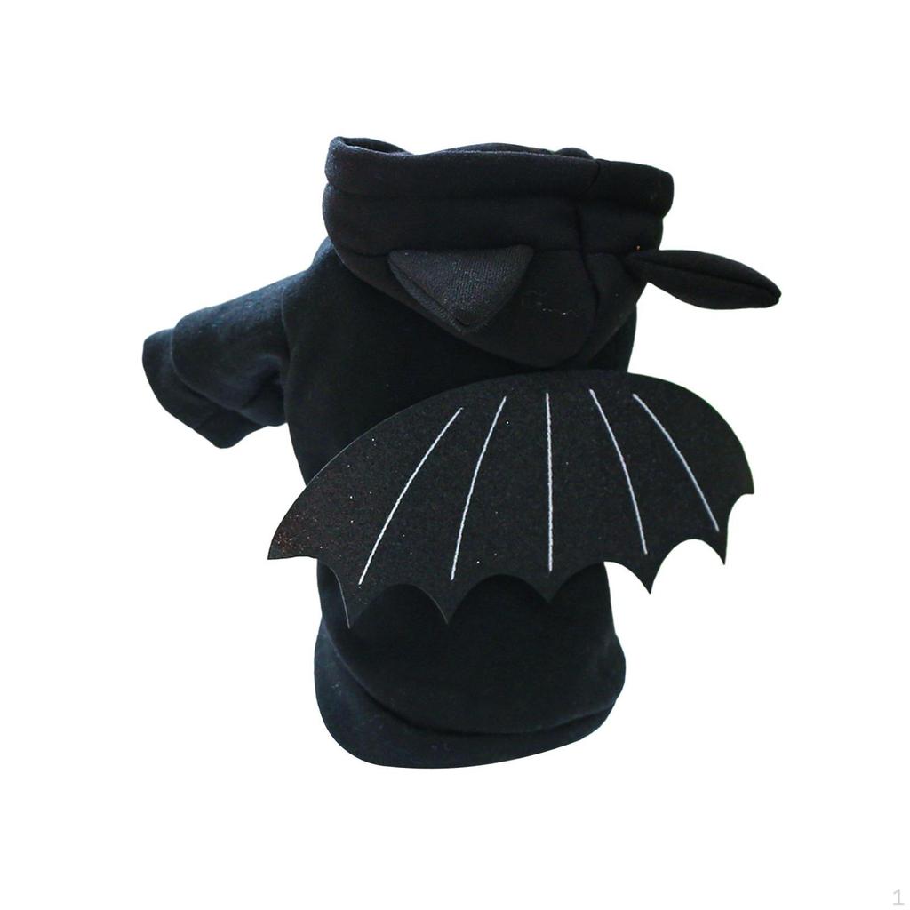 Festive Pet Attire for Halloween and Year Celebrations