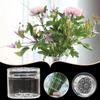Plastic Spiral Ikebana Stem Holder Round Bouquet Floral Arranger Holder Flower Vase Holder  Wedding
